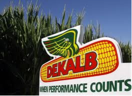 DeKalb Corn sign