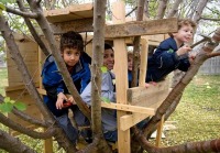 Kids in treehouse