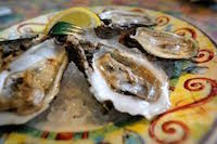 Oysters