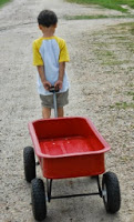 Boy with wagon