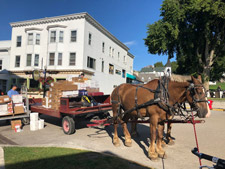 Drayage cart and horses