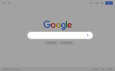 Google search