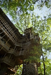 Minister's Treehouse
